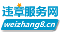 违章查询